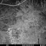 Nov 8 2025 0:00:31, #01