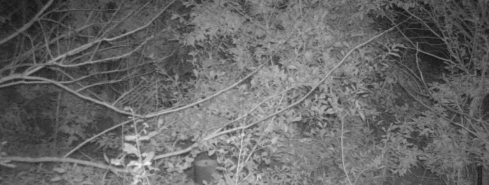 Nov 8 2025  3:00:31, #01