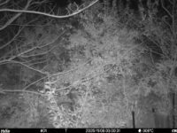 Nov 8 2025  3:00:31, #01