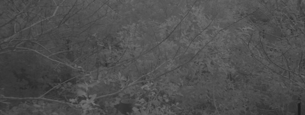 Nov 8 2025  6:00:32, #01