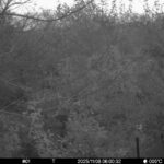 Nov 8 2025 6:00:32, #01