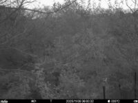 Nov 8 2025  6:00:32, #01