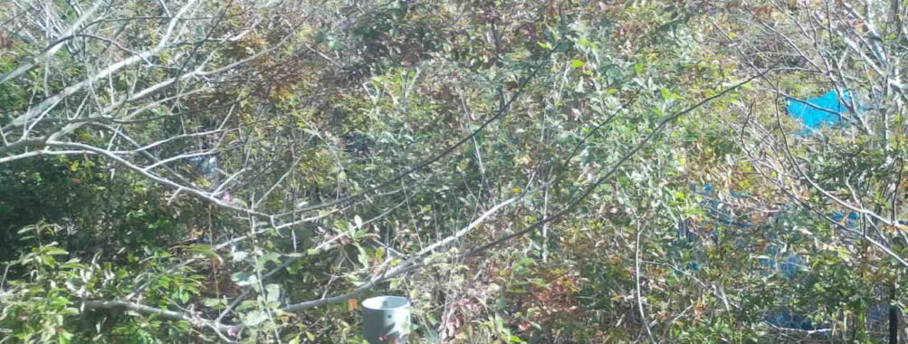 Nov 8 2025  9:00:32, #01