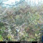 Nov 8 2025 9:00:32, #01