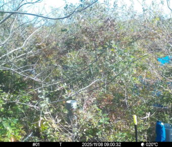 Nov 8 2025  9:00:32, #01