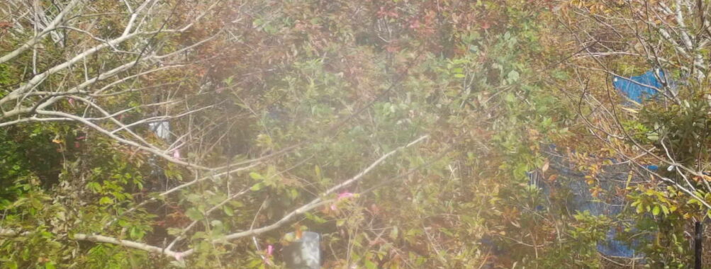 Nov 8 2025 12:00:32, #01