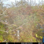 Nov 8 2025 12:00:32, #01