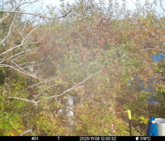 Nov 8 2025 12:00:32, #01