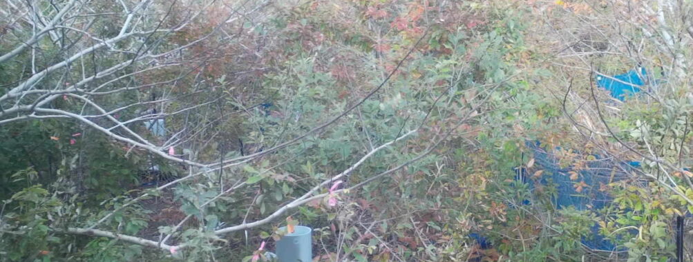 Nov 8 2025 15:00:32, #01