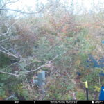 Nov 8 2025 15:00:32, #01