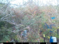 Nov 8 2025 15:00:32, #01