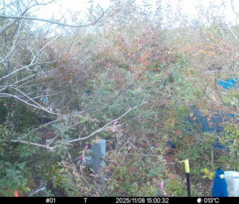 Nov 8 2025 15:00:32, #01