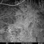 Nov 8 2025 18:00:31, #01