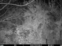 Nov 8 2025 18:00:31, #01