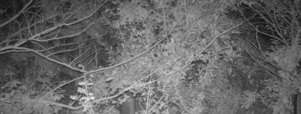 Nov 9 2025  0:00:30, #01