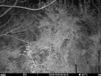 Nov 9 2025  0:00:30, #01