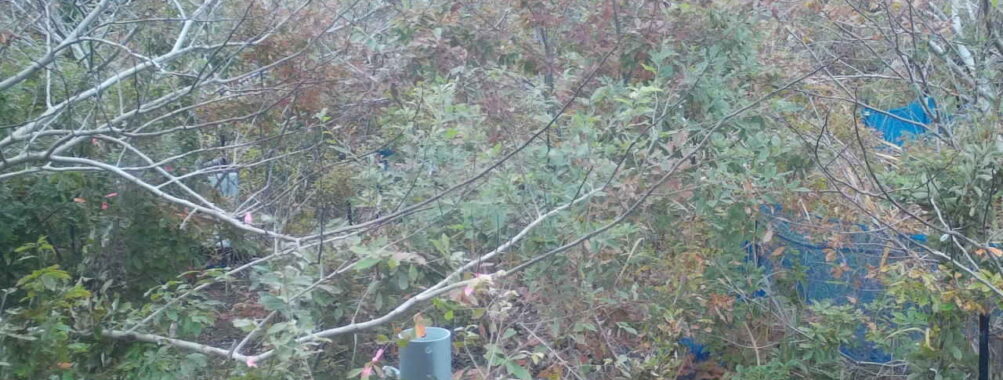 Nov 9 2025  9:00:32, #01