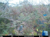 Nov 9 2025  9:00:32, #01