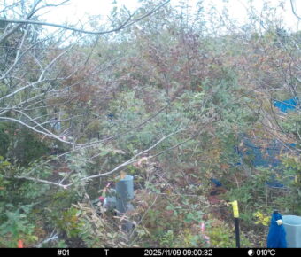 Nov 9 2025  9:00:32, #01