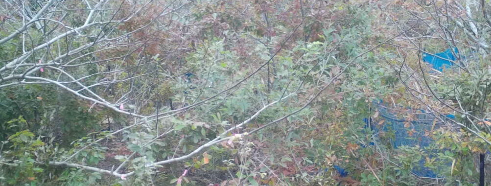 Nov 9 2025 12:00:32, #01