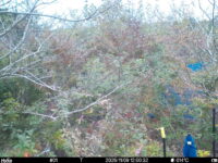 Nov 9 2025 12:00:32, #01