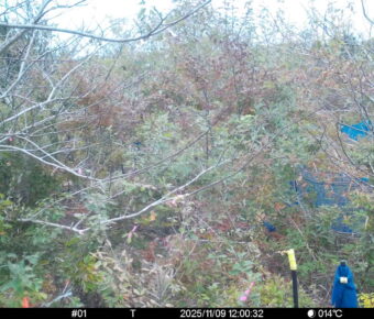 Nov 9 2025 12:00:32, #01