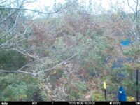 Nov 9 2025 15:00:31, #01