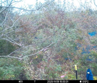 Nov 9 2025 15:00:31, #01