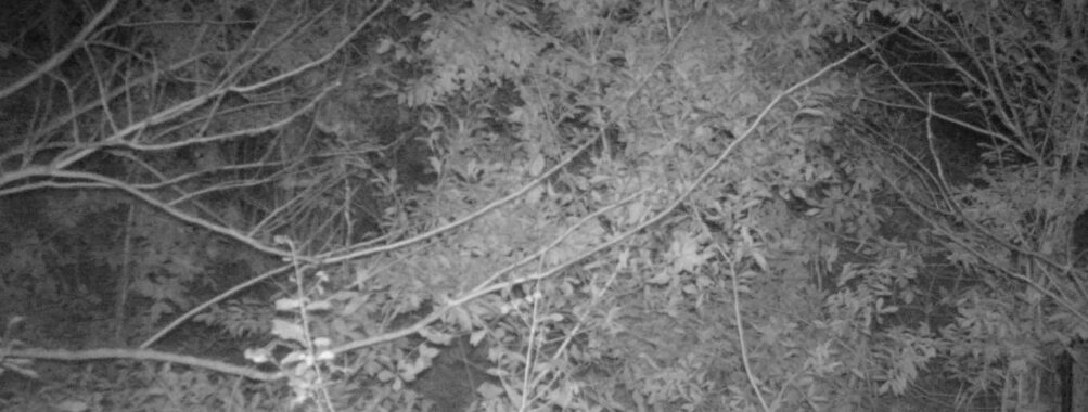 Nov 9 2025 18:00:31, #01