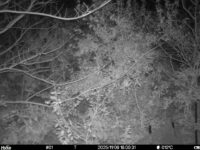 Nov 9 2025 18:00:31, #01