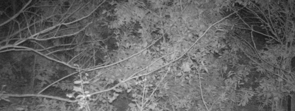 Nov 9 2025 21:00:32, #01