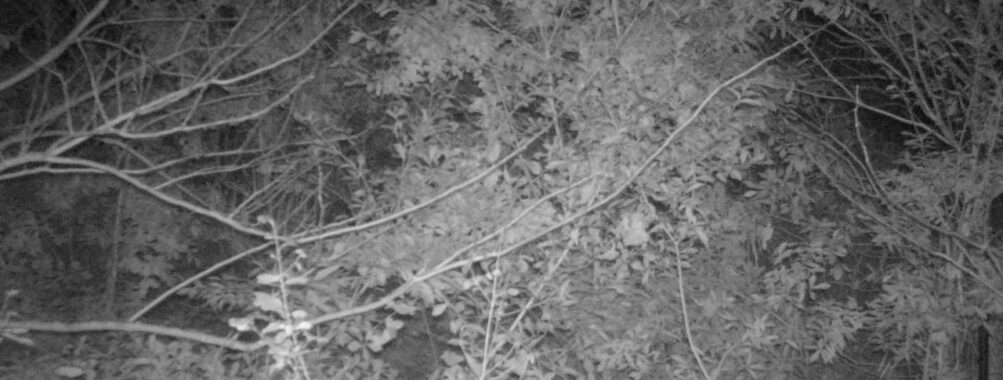 Nov 10 2025  0:00:30, #01