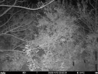 Nov 10 2025  3:00:31, #01