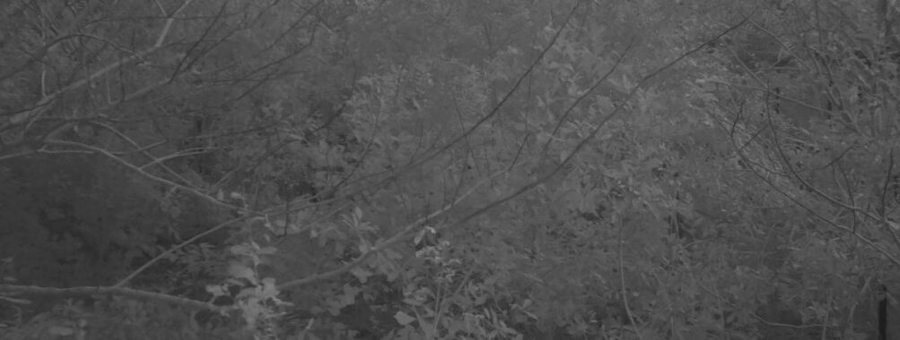 Nov 10 2025  6:00:31, #01