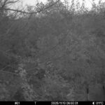 Nov 10 2025 6:00:31, #01