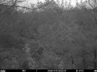 Nov 10 2025  6:00:31, #01