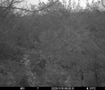 Nov 10 2025  6:00:31, #01