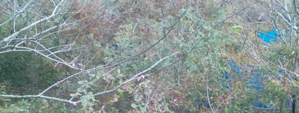 Nov 10 2025  9:00:31, #01