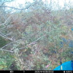 Nov 10 2025 9:00:31, #01