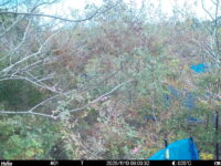 Nov 10 2025  9:00:31, #01