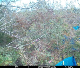 Nov 10 2025  9:00:31, #01