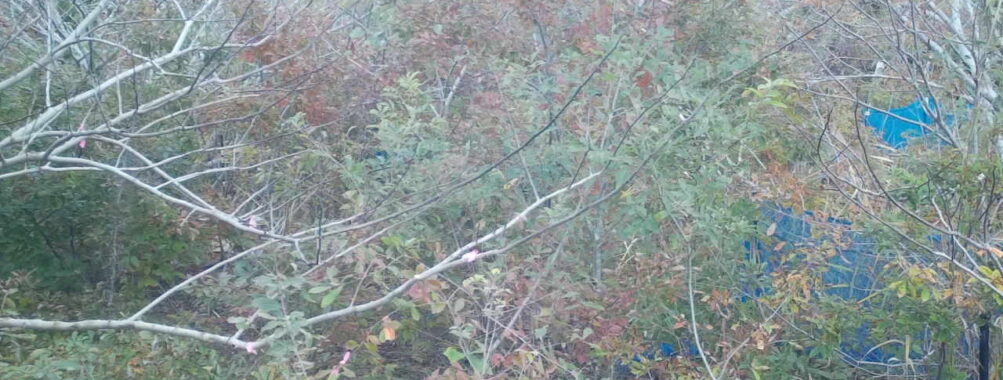 Nov 10 2025 12:00:31, #01