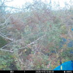 Nov 10 2025 12:00:31, #01