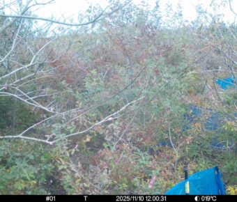 Nov 10 2025 12:00:31, #01