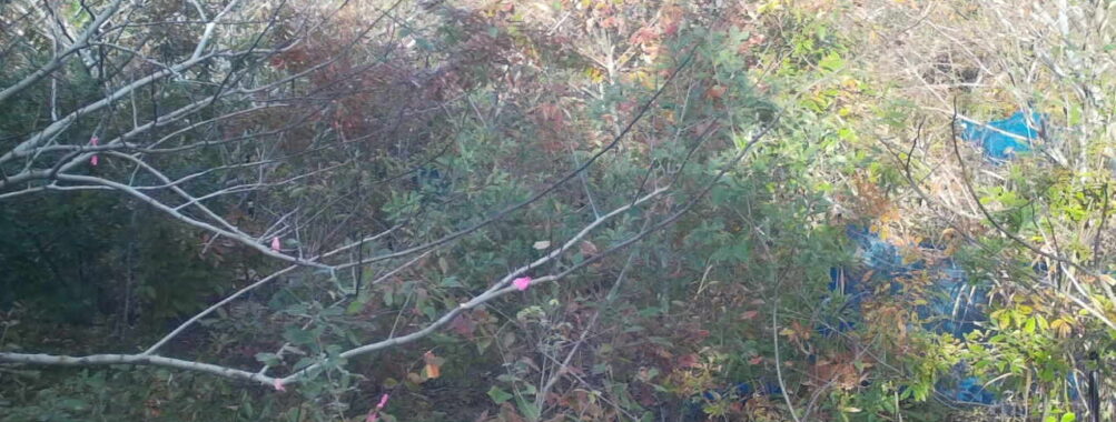 Nov 10 2025 15:00:31, #01