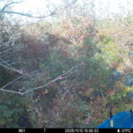 Nov 10 2025 15:00:31, #01