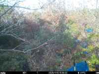 Nov 10 2025 15:00:31, #01