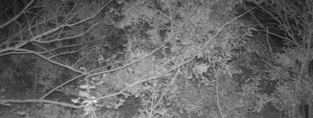 Nov 10 2025 18:00:30, #01