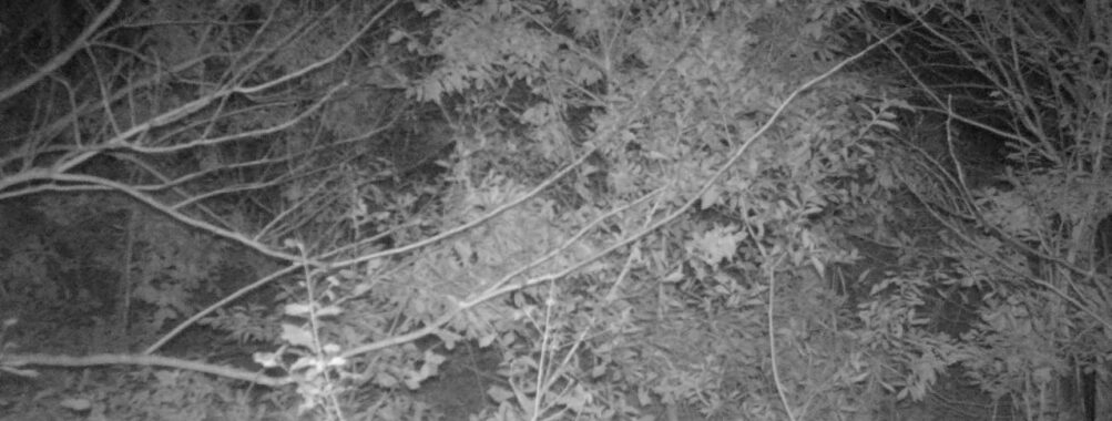 Nov 10 2025 21:00:32, #01