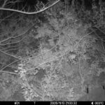 Nov 10 2025 21:00:32, #01